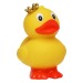 Standing Duck, duck promotional
