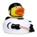 Duck sport hockey, duck promotional