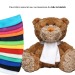 Teddy bear., plush promotional