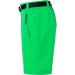 Short trekking homme - James Nicholson wholesaler
