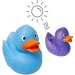 Canard Magique - MBW, canard promotional