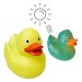 Magic Duck wholesaler