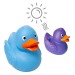 Magic Duck wholesaler