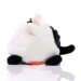 Teddy cow - MBW wholesaler