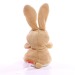 Peluche lapin - MBW, lapin promotional