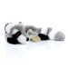 Raccoons