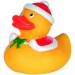 Winter duck M wholesaler
