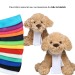 Small Dog Plush Toy wholesaler