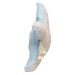 Peluche étoile de mer - MBW wholesaler