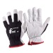 Gants de travail CXS wholesaler