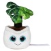 Peluche monstera wholesaler