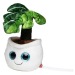 Peluche monstera wholesaler
