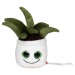 Peluche aloe vera wholesaler