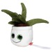 Peluche aloe vera wholesaler