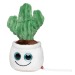 Peluche cactus wholesaler
