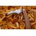 Mushroom knife wholesaler