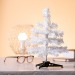 Christmas Tree Pines wholesaler