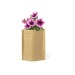 Pot de fleurs - Pétunia, Sachet de graine promotional