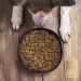 Product thumbnail Foldable bowl for animals 5