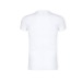Adult White T-Shirt - Iconic, Textile Fruit of the Loom promotional