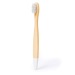 Toothbrush - Becu, toothbrush and toothpaste promotional