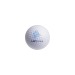 Standard 2-layer golf ball wholesaler
