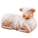 Product thumbnail Easter lamb in cardboard 1