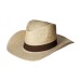 Texas? boater, straw hat promotional