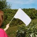 Drapeau Wood, drapeau promotional