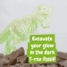 Fossil Excavation Kit I. Educational game for children wholesaler