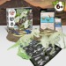 2 in 1 Fossil Excavation Kit I. Jeu éducatif pour enfants wholesaler