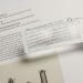 Signet avec loupe x3 wholesaler