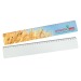 Ruler, max. 30 cm wholesaler