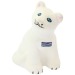 Chat anti-stress wholesaler