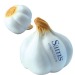 Anti-Stress Garlic Clove wholesaler