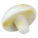 Anti-Stress Mushroom wholesaler