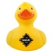 Canard en plastique wholesaler