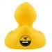 Canard en plastique wholesaler