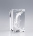 Bevel trophy wholesaler