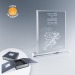 Beveled plate trophy on base wholesaler