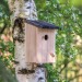 Rustic nesting box, house and birdhouse promotional