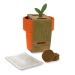 Hot-but-cool coffee cup with cherry tomato seeds wholesaler