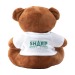 Billy Bear ours taille standard, peluche promotional