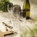 Smokey Verre à vin 465 ml wholesaler
