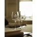 Caselli Wine glass 370 ml wholesaler