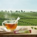 Bio TeaStick - Sage-Thyme Herbs - Individual design wholesaler
