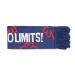 Jacquard supporter scarf in RPET woven in up to 6 colours, Fan scarf promotional