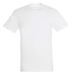 White T-shirt 150g express 48h wholesaler
