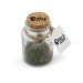 Tillandsia en bouteille 11cm, Terrarium promotional