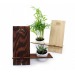 Wooden telephone holder + 1 plant - CHENE wholesaler